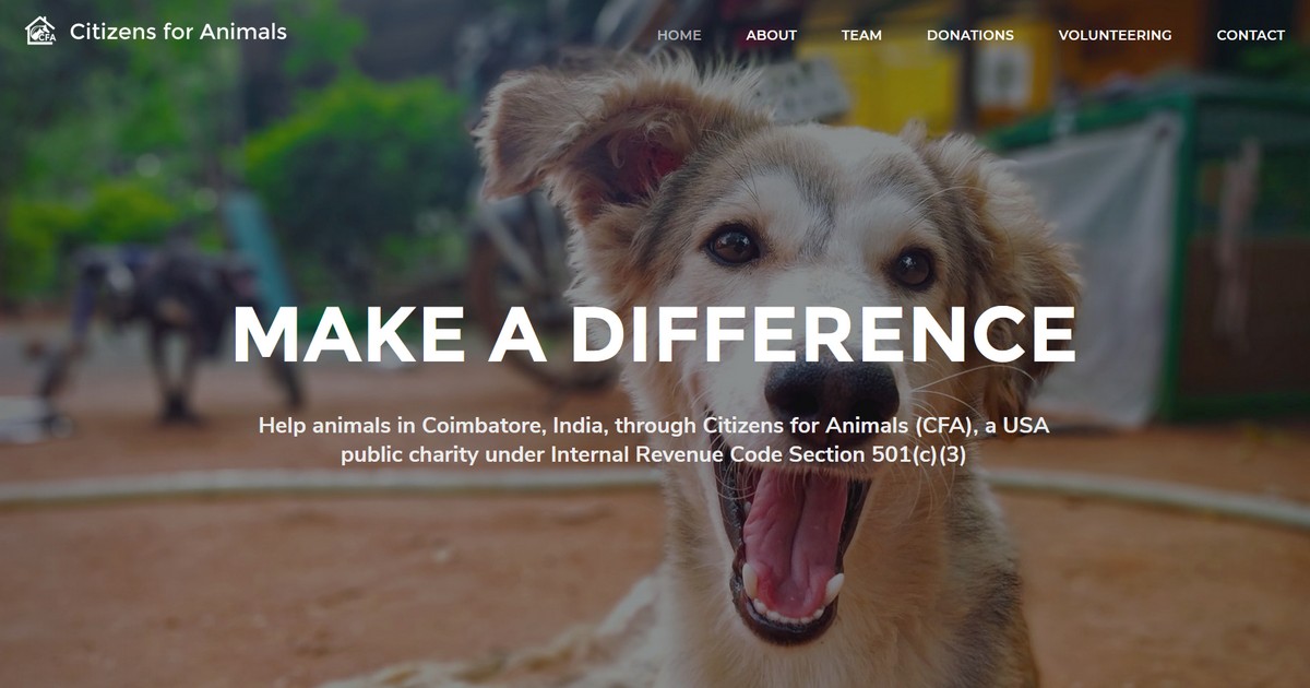 Citizens for Animals – A USA based charity supporting animals in India